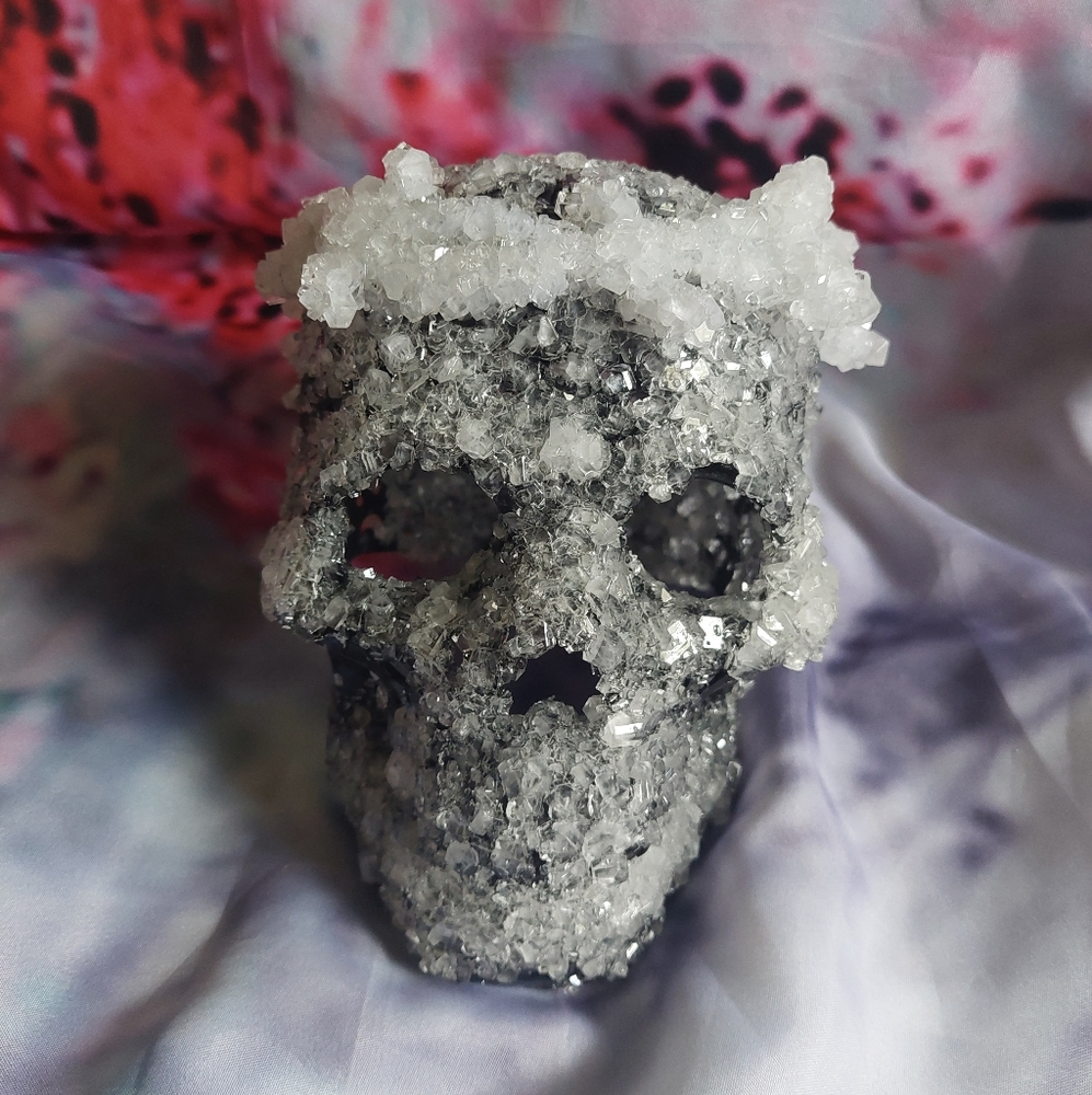 Crystal Skulls - Picture 4 of 14